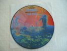 * THE PINK FLOYD * BEAU PICTURE DISC / MORE