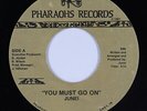 Modern Soul Boogie 45 - Junei - You Must Go On/Let's Ride - Pharaohs - mp3