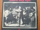 RADIO BIRDMAN - BURN MY EYE  AUSSIE 7
