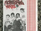 Punkhouse by Screeching Weasel 7in Selfless Records Chicago Punk 1993