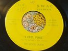 Illinois Garage Psych Private 45 The Good Earth I Feel Fine EX HEAR