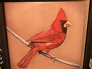Alexisonfire Vinyl Old Crows Young Cardinals Post Hardcore