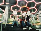 BLOSSOMS Foolish Loving Spaces LP NEW .cp