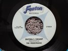 RARE 1966 MICHIGAN GARAGE ROCK-FENTON RECORDS 2102-THE PEDESTRIANS-45-NICE