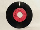 RARE The Pussycats, The Rider/I Want Your Love (VG+) 1965 Vinyl 45