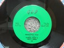 RARE MICHIGAN GARAGE ROCK-FLOWERS, FRUITS & PRETTY THINGS-WANTING YOU-45-NICE