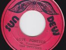 THE DYNAMICS (aka Bim Sherman) LOVE FOREVER on the 1st press SUN DEW label