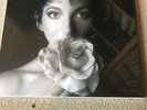 KATE BUSH Remastered In Vinyl 2   4 x 180 gram VINYL BOX SET  2018     sealed