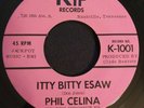 Rare Teen 45 PHIL CELINA AND THE IMPOSSIBLES Itty Bitty Esaw KIP