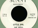 RIFFS Little Girl / Why Are the Nights So Cold? 45rpm Sunny '64 styrene original
