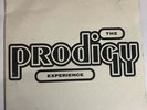 PRODIGY, The - Experience - Vinyl (gatefold 2xLP)