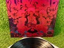 DECEMBER'S CHILDREN 1970 •1st press• RARE Mainstream psych Acid Archives Josefus