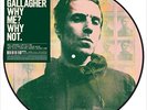 LIAM GALLAGHER WHY ME WHY NOT HMV EXCLUSIVE PICTURE DISC 12