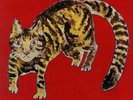 SHIMIZU, Yasuaki - Kakashi (reissue) - Vinyl (LP + insert)