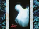 Skinny Puppy - Mind: The Perpetual Intercourse [Used Very Good Vinyl L