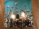 The Creatures – Boomerang 12
