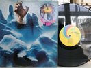 The Hook - Will Grab You UNI LP 73023 VG++ PSYCH STEREO THE LEAVES FUZZ