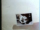 FLEETWOOD MAC TUSK RARE STILL SEALED ORIGINAL 1979 WARNER 2-LP SET BEAUTIFUL
