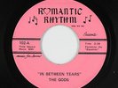 Doo-Wop 45 - The Gods - In Between Tears - Romantic Rhythm - VG+ mp3