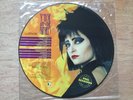 Siouxsie And The Banshees The John Peel Sessions 12” Picture Disc