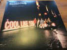 Blossoms - Cool Like You Double LP Deluxe edition New Unplayed Mint Lyric Book