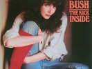 Kate Bush The Kick Inside EMI America Vinyl LP