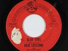 Garage Teen 45 - Rick Levatino & Coachmen - Blue Eyes - Montel Michelle - mp3