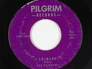 Doo-Wop 45 - Rainbows - Shirley/Stay - Pilgrim - mp3