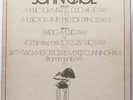 John Cage - Nova Musicha (Cramps) 2nd press (avant garde, experimental)