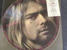 Nirvana Roma 94 Picture Vinyl  Last Concert In Italy Unofficial Release