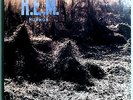 R.E.M. MURMUR (FIRST ALBUM) RARE ORIG '83 I.R.S. LP INDIE ROCK MILESTONE NR MINT