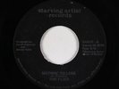 Punk 45 - The Flies - Nothin' To Lose - Starving Artist - mp3