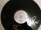 Vinyl 12