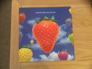 LIGHTNING SEEDS 
