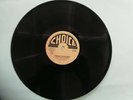 DONOVAN ADAMSON - TRYING YOUTH MAN // HOWIE ATKINS - WALLS OF BABYLON [ FEB043 ]