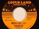 Jewel Paradise - Pajoma Oooh baby ,Lotus land, Northern modern soul