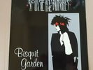 siouxsie and the banshees - biskuit hall bonn  86  - 2 x lp -coloured v  - punk