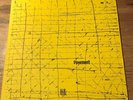 Pavement Slay Tracks  1933 - 1969 Original & complete 7