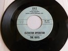 The Rays Elevator Operator Rock & Roll Early R&B  Listen Hear
