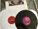 Diamond D Stunts Blunts & Hip Hop INSTRUMENTALS 2LP Vinyl Rare Q-Tip DITC Rap