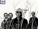 Tom Petty & The Heartbreakers - Echo  (LP Vinyl)  sealed