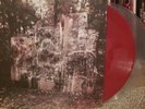 La Dispute Wildlife Touche Amore Piano Becomes Teeth Title Fight First Pressing