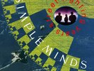 SIMPLE MINDS 'STREET FIGHTING YEARS' (Remastered) Double VINYL LP (2020)
