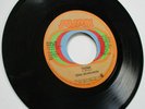 SOUL SEARCHERS    THINK  c/w 1993     1973 US SUSSEX RECORDS