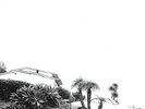 Timber Timbre - Hot Dreams