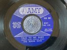 THE RISING SONS - TALK TO ME rare US 1965 DEMO PROMO / MOD BEAT / SHEL TALMY