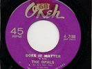 The Opals - Does It Matter / Tender Lover - Okeh 1964 USA