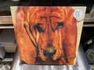 Ty Segall Goodbye Bread LP NEW vinyl Drag City 2011 [Thee Oh Sees garage rock]