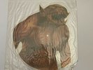 METALLICA JUMP IN THE FIRE UK SHAPED PICTURE DISC 1986 (PKUT105)