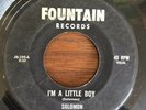 JERRY SOLOMON OBSCURE PSYCH GARAGE PRIVATE 45 